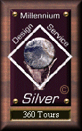 Millennium Design Silver Award